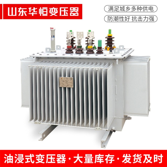 S13-10000/35龙安龙安龙安电力变压器